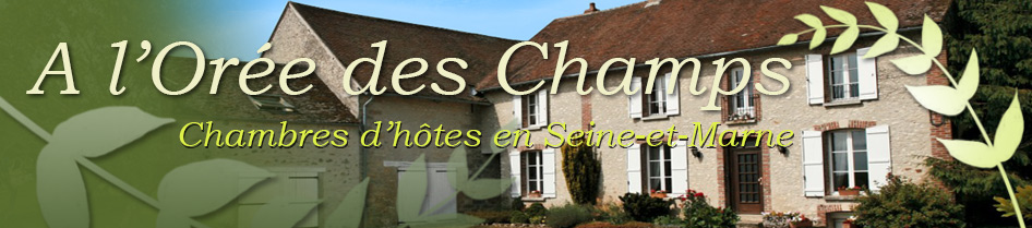 Chambres d'hôtes en Seine et Marne